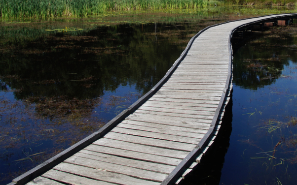 ทางเดินชีวิตที่ดีควรเป็นอย่างไร จะก้าวเล็กก้าวใหญ่ขอแค่ได้เริ่ม