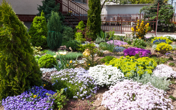 สวนหน้าบ้านควรจัดอย่างไรให้สวยงามและเหมาะสม